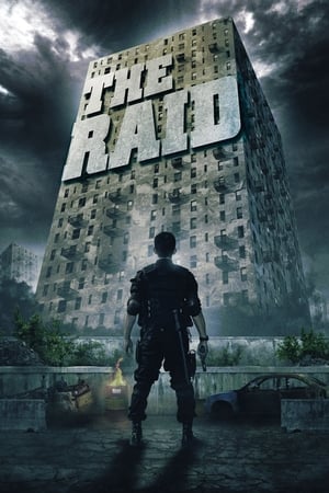 The Raid (2014) 
